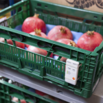 Temperature Data Logger-Testo184 T1 - Image 4